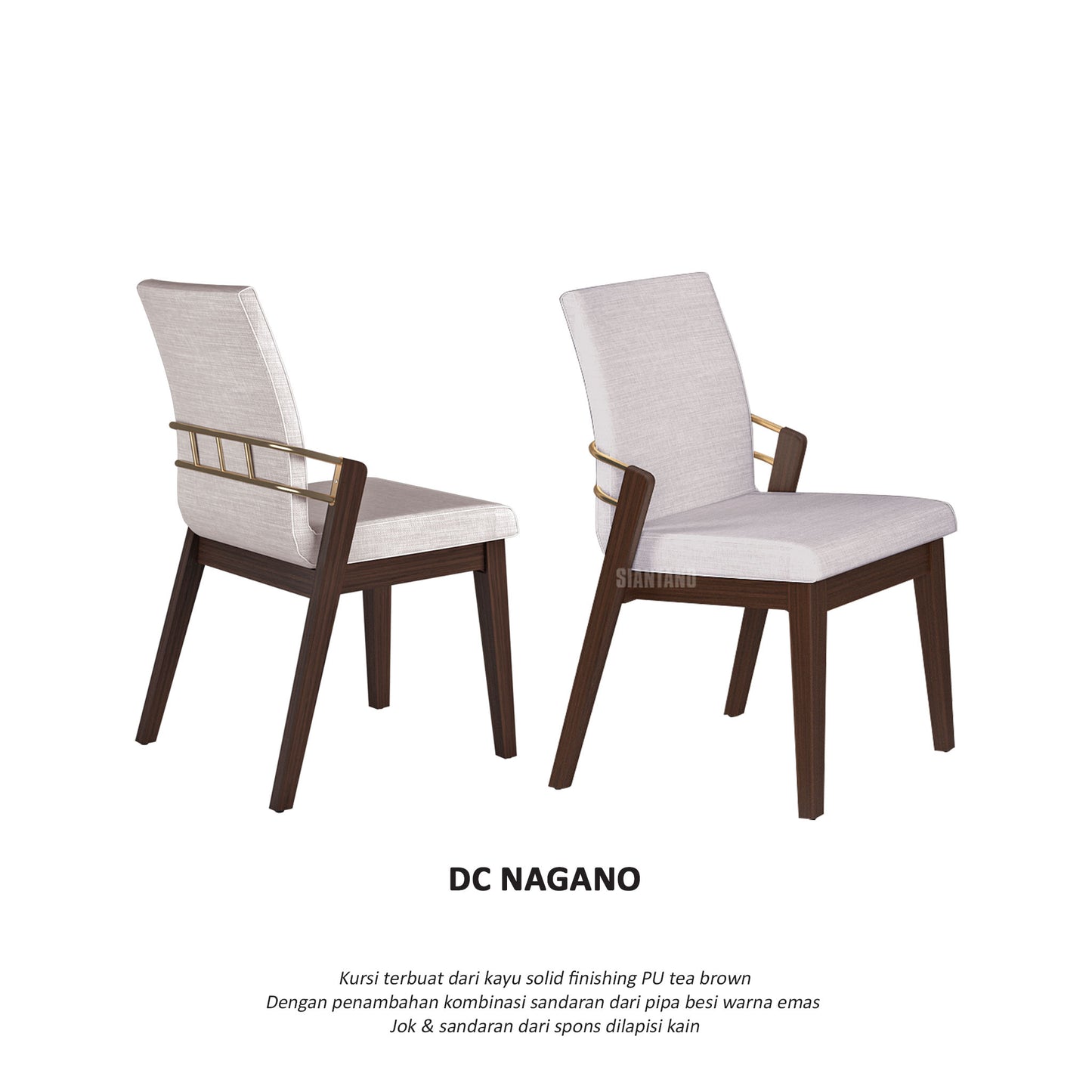 DC NAGANO